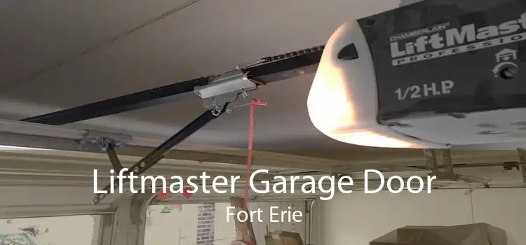 Liftmaster Garage Door Fort Erie